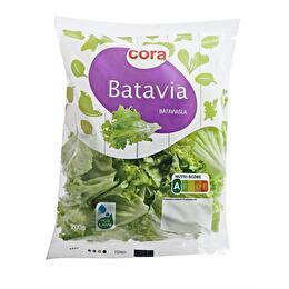 CORA Batavia