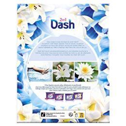 DASH Poudre fleur de lys 40 lavages