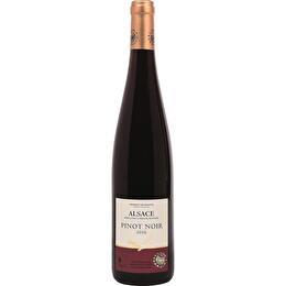 L'ÂME DU TERROIR Alsace AOP Pinot Noir - Rouge 13%