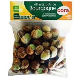 CORA Escargots de Bourgogne Helix Pomatia recette à la Bourguignonne x 48