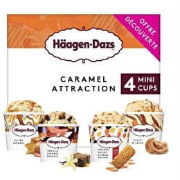 HÄAGEN DAZS Mini pot glacé caramel attraction  x4
