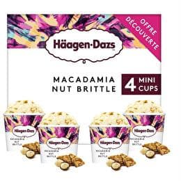 HÄAGEN DAZS Mini pot glacé macadamia nut brittle x4