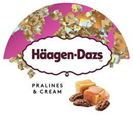HÄAGEN DAZS Pot pralines and cream