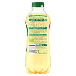 GREEN CONTREX Infusion de maté saveur citron et citron vert BIO