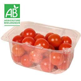 VOTRE PRIMEUR PROPOSE Tomate cerise bio 250g
