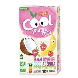 VITABIO Gourdes cool fruits et coco banane framboise coco acérola x 12