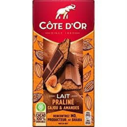 CÔTE D'OR Chocolat lait praliné cajou & amandes