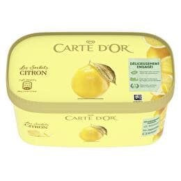CARTE D'OR Sorbet citron