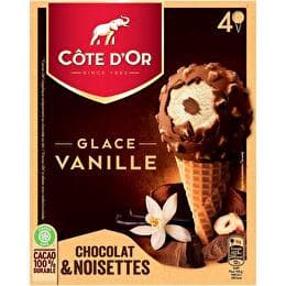 CÔTE D'OR Cônes vanille
